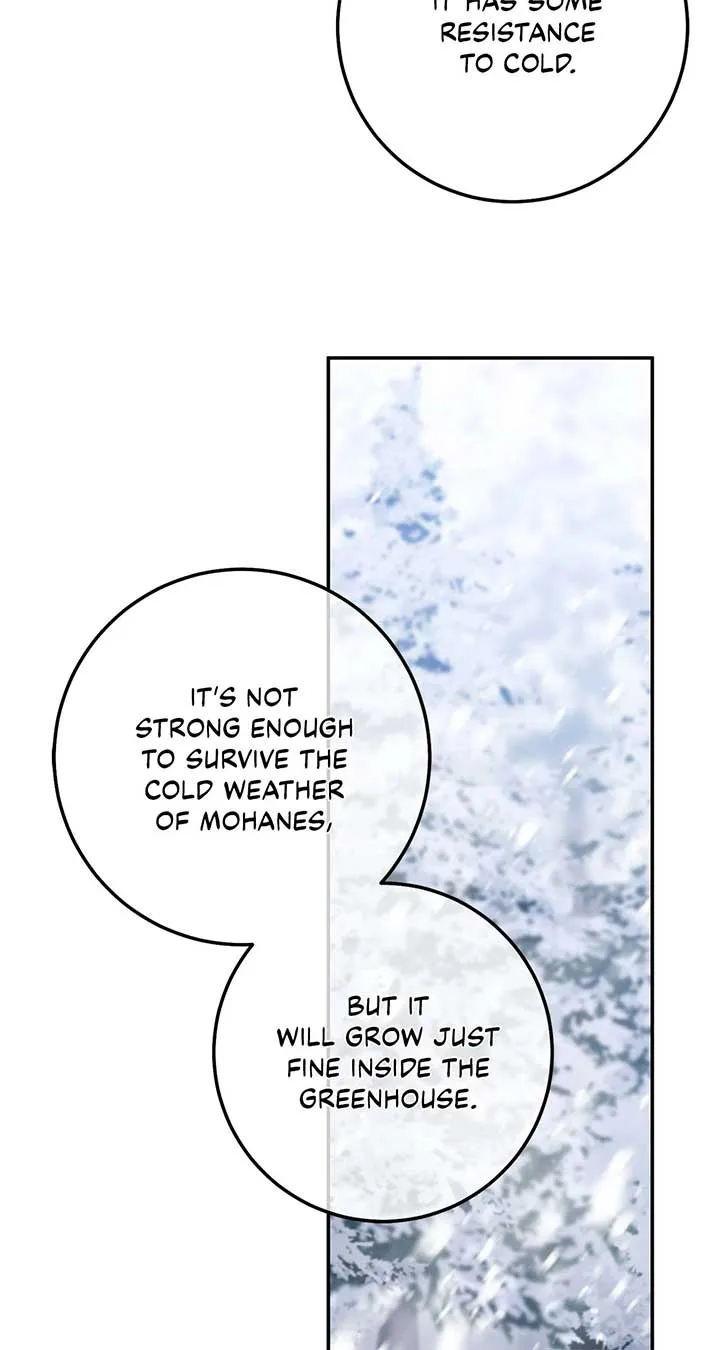 Contract Grand Duchess Chapter 54 page 44