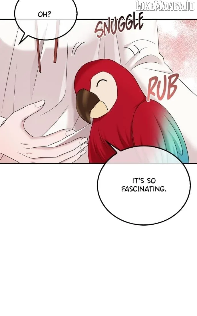 Couple, How Far You Can Go? Chapter 66 page 46