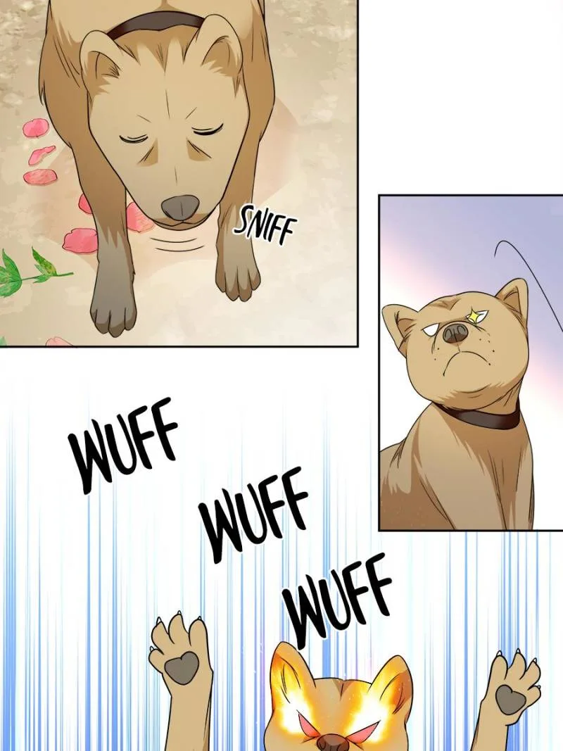 Dad, did you study today? Chapter 76 page 6