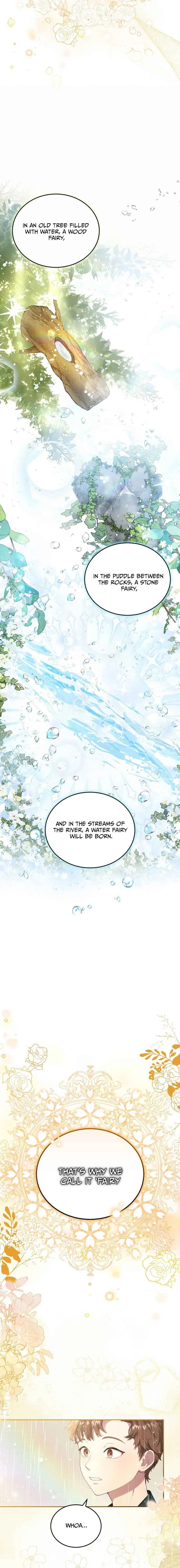 Dear Fairy, Please Contract With Me Chapter 1 page 4