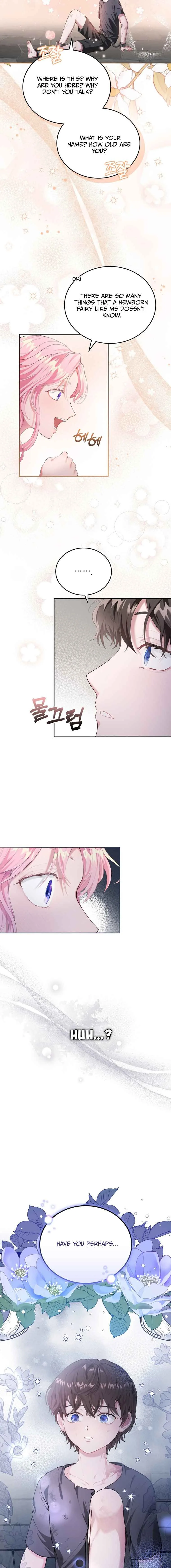 Dear Fairy, Please Contract With Me Chapter 1 page 19