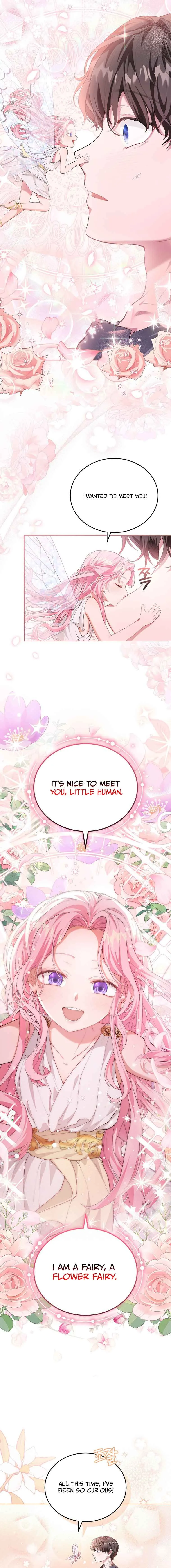 Dear Fairy, Please Contract With Me Chapter 1 page 18
