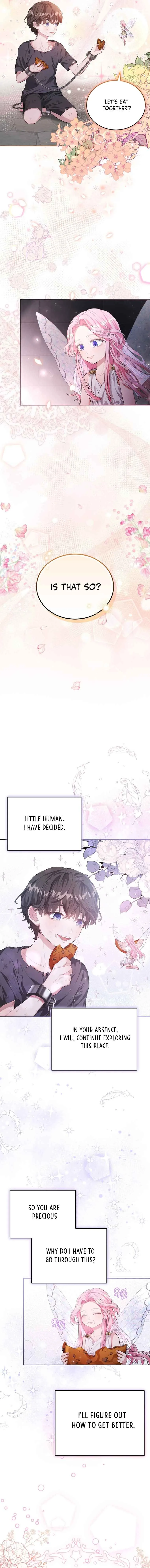 Dear Fairy, Please Contract With Me Chapter 3 page 19