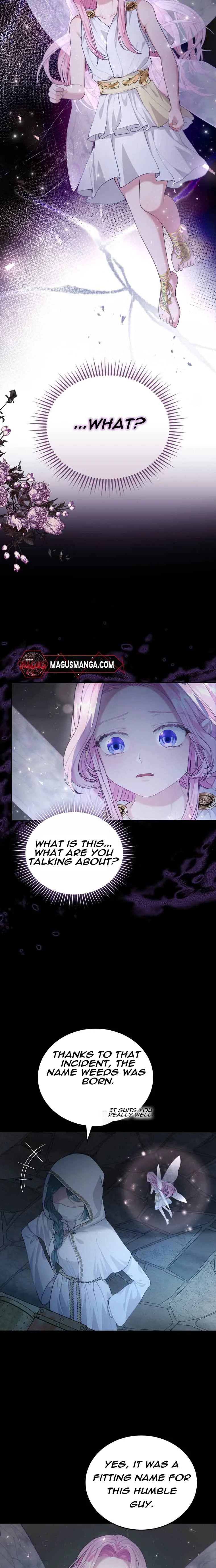 Dear Fairy, Please Contract With Me Chapter 7 page 4