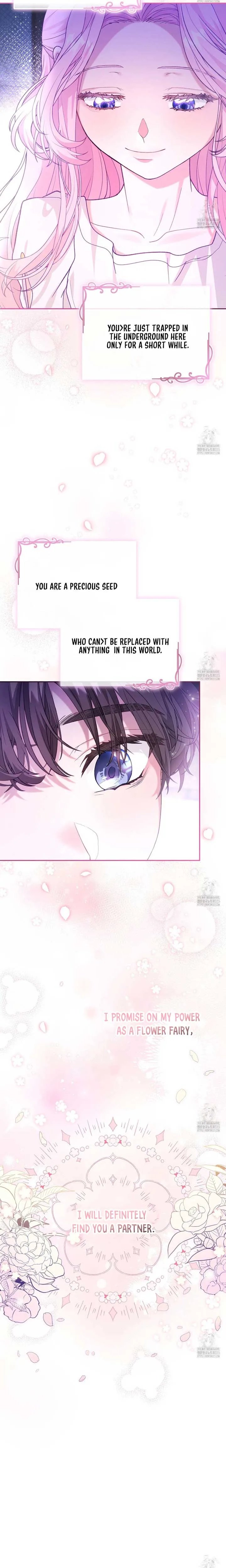 Dear Fairy, Please Contract With Me Chapter 20 page 5