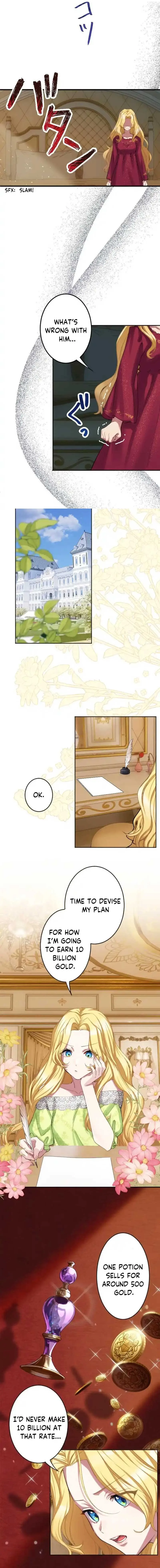Dear Husband, I’ll Earn Money and Get a Divorce! Chapter 2 page 3