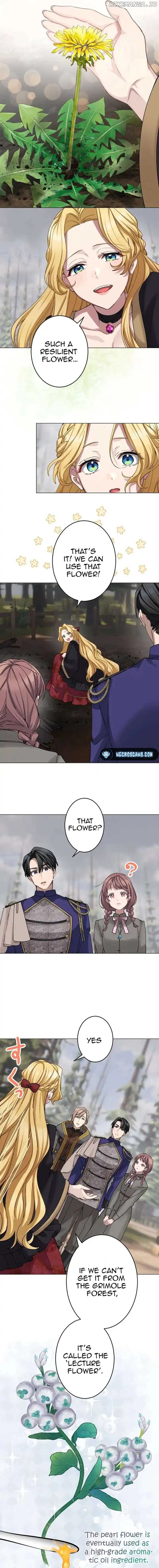 Dear Husband, I’ll Earn Money and Get a Divorce! Chapter 19 page 15
