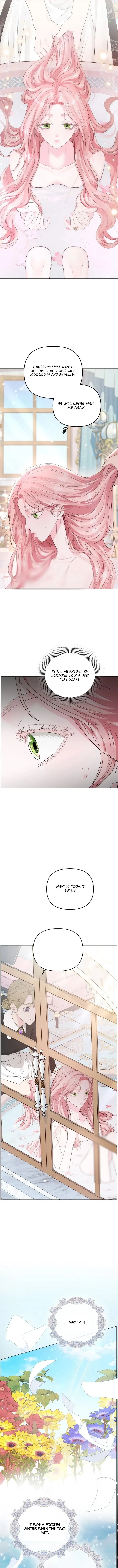 Dear Villainous Husband, the One to be Obsessed with is Over There Chapter 3 page 6
