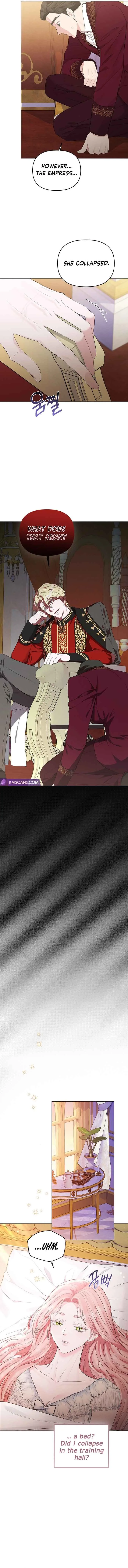 Dear Villainous Husband, the One to be Obsessed with is Over There Chapter 8 page 6