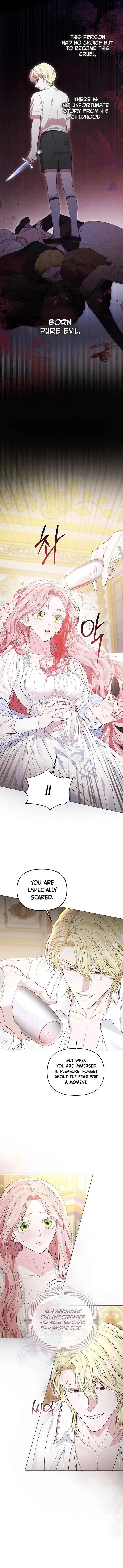 Dear Villainous Husband, the One to be Obsessed with is Over There Chapter 7 page 9