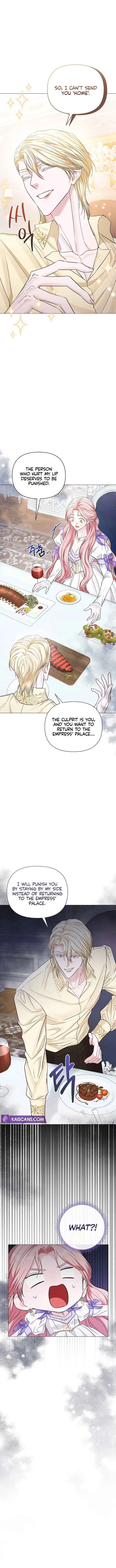 Dear Villainous Husband, the One to be Obsessed with is Over There Chapter 15 page 11