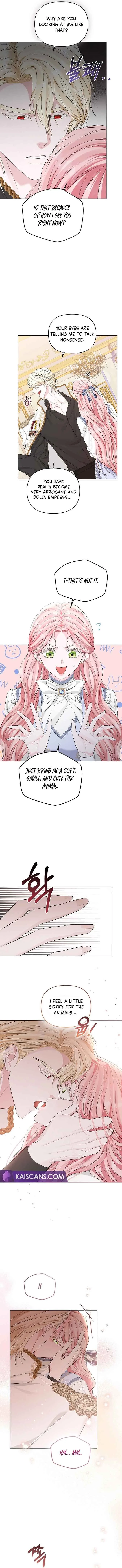 Dear Villainous Husband, the One to be Obsessed with is Over There Chapter 10 page 12