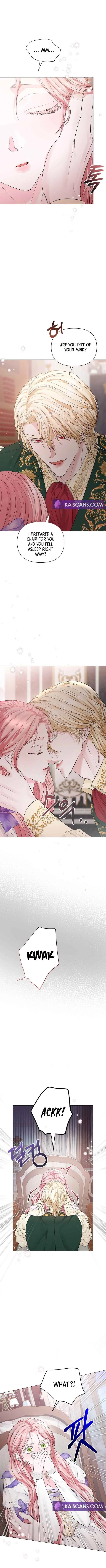 Dear Villainous Husband, the One to be Obsessed with is Over There Chapter 16 page 4
