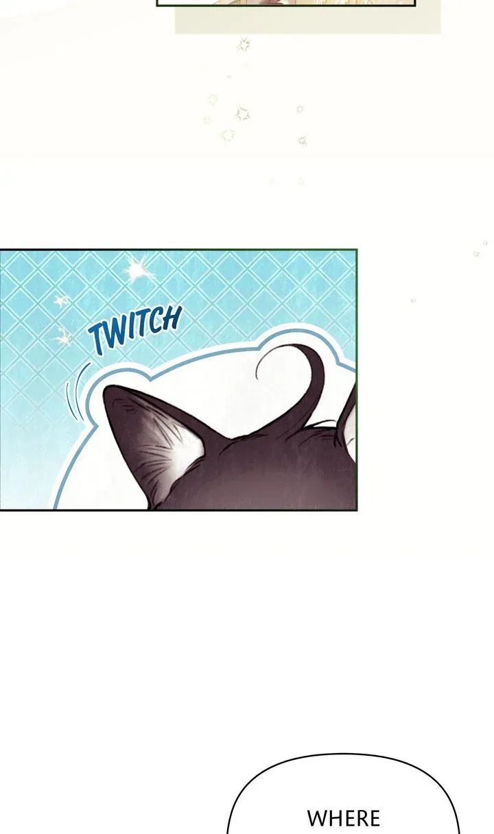 Dear, Not Cunning Witch Chapter 0 page 16