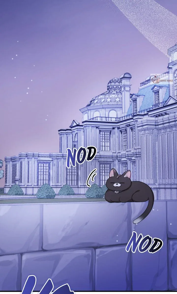Dear, Not Cunning Witch Chapter 12 page 47