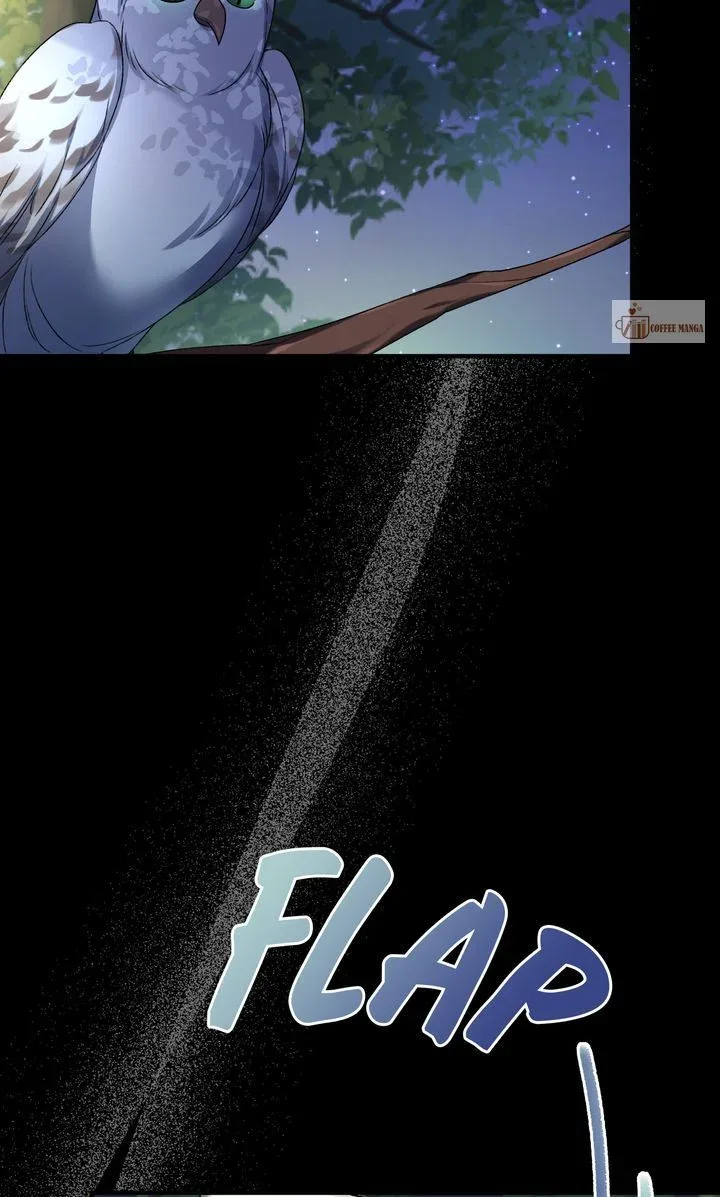 Dear, Not Cunning Witch Chapter 16 page 64