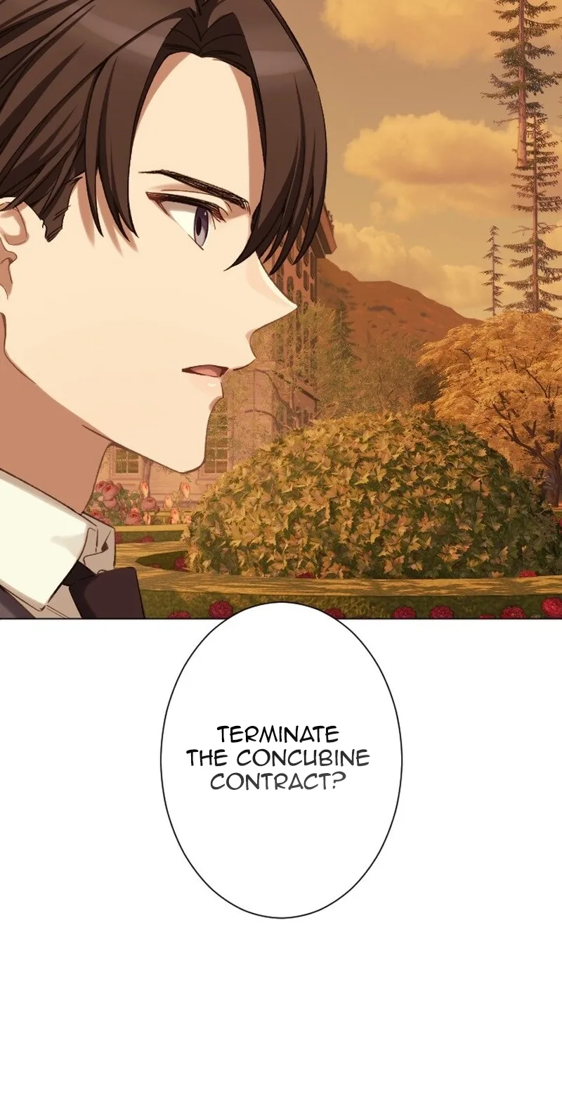 Dear Husband, I’ll Earn Money and Get a Divorce! Chapter 31 page 8
