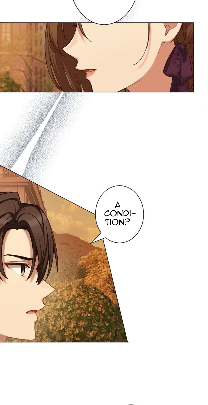 Dear Husband, I’ll Earn Money and Get a Divorce! Chapter 31 page 11