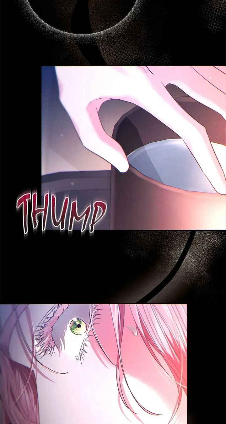 Dear Villainous Husband, the One to be Obsessed with is Over There Chapter 60 page 33