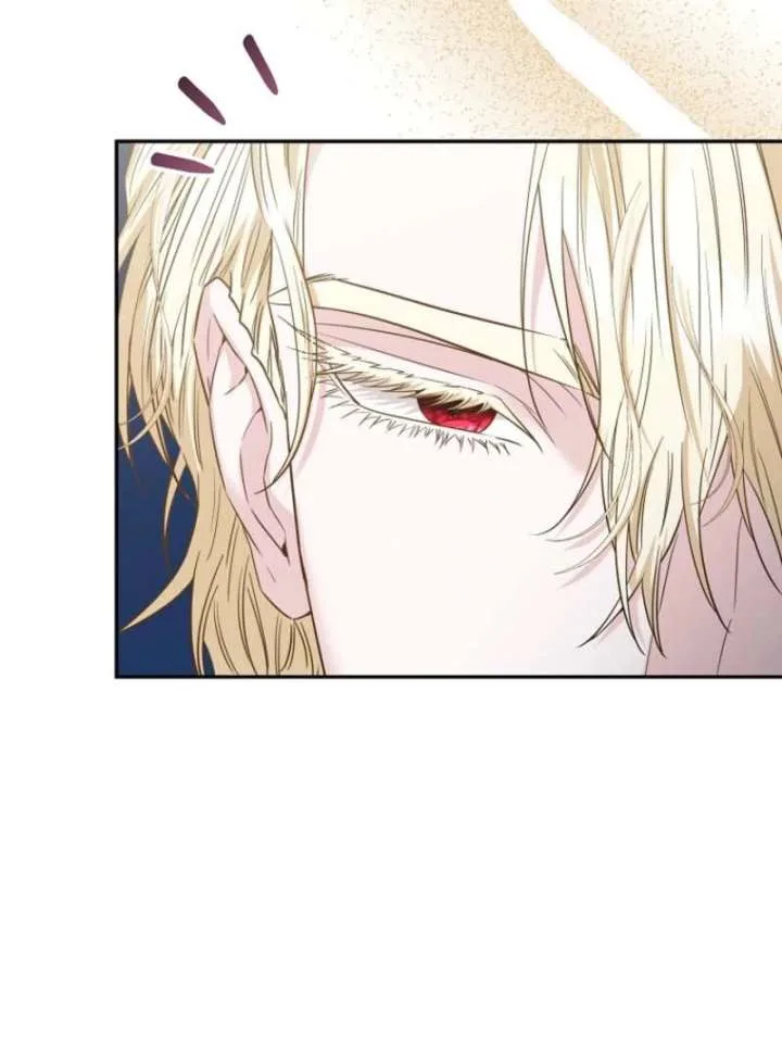 Dear Villainous Husband, the One to be Obsessed with is Over There Chapter 64 page 105