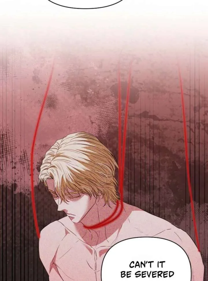 Dear Villainous Husband, the One to be Obsessed with is Over There Chapter 66 page 47
