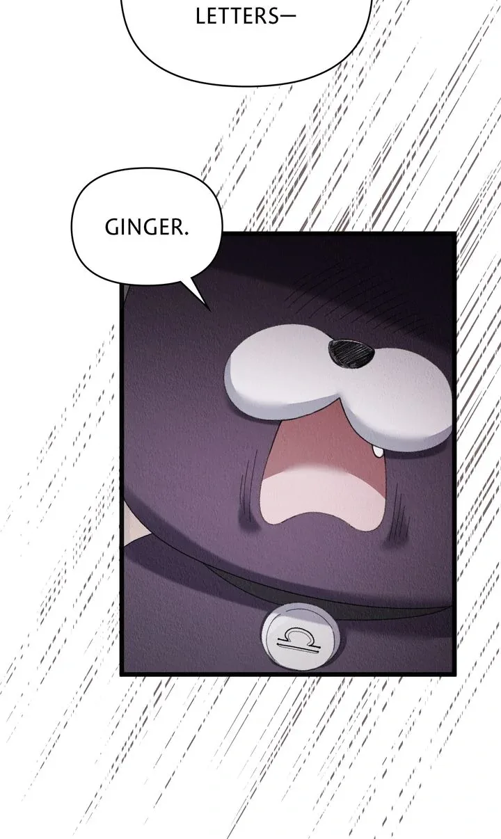 Dear, Not Cunning Witch Chapter 67 page 62