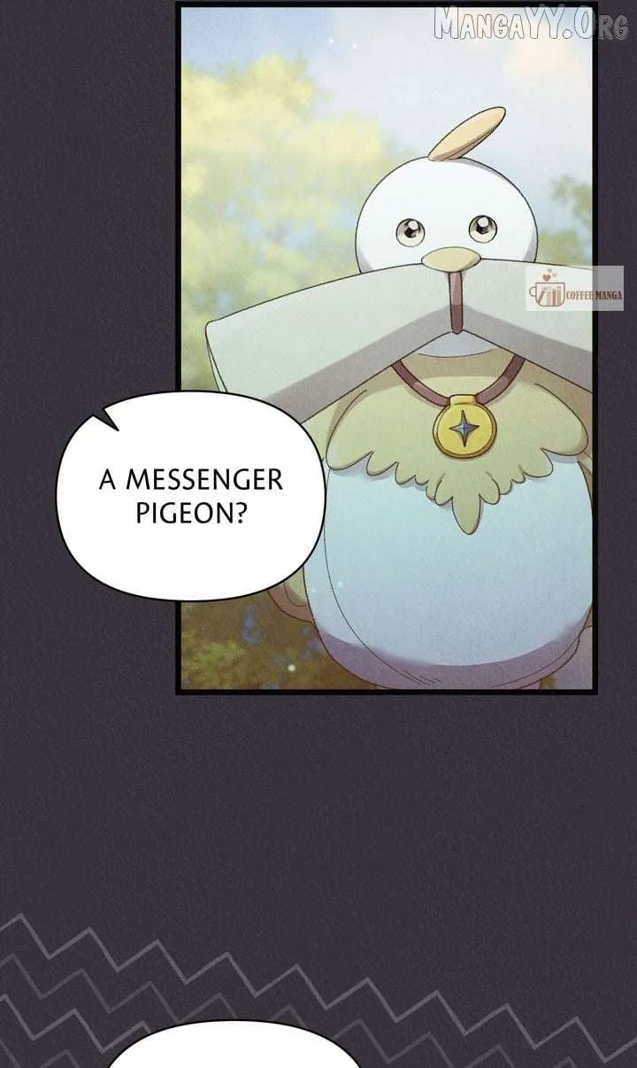 Dear, Not Cunning Witch Chapter 77 page 66