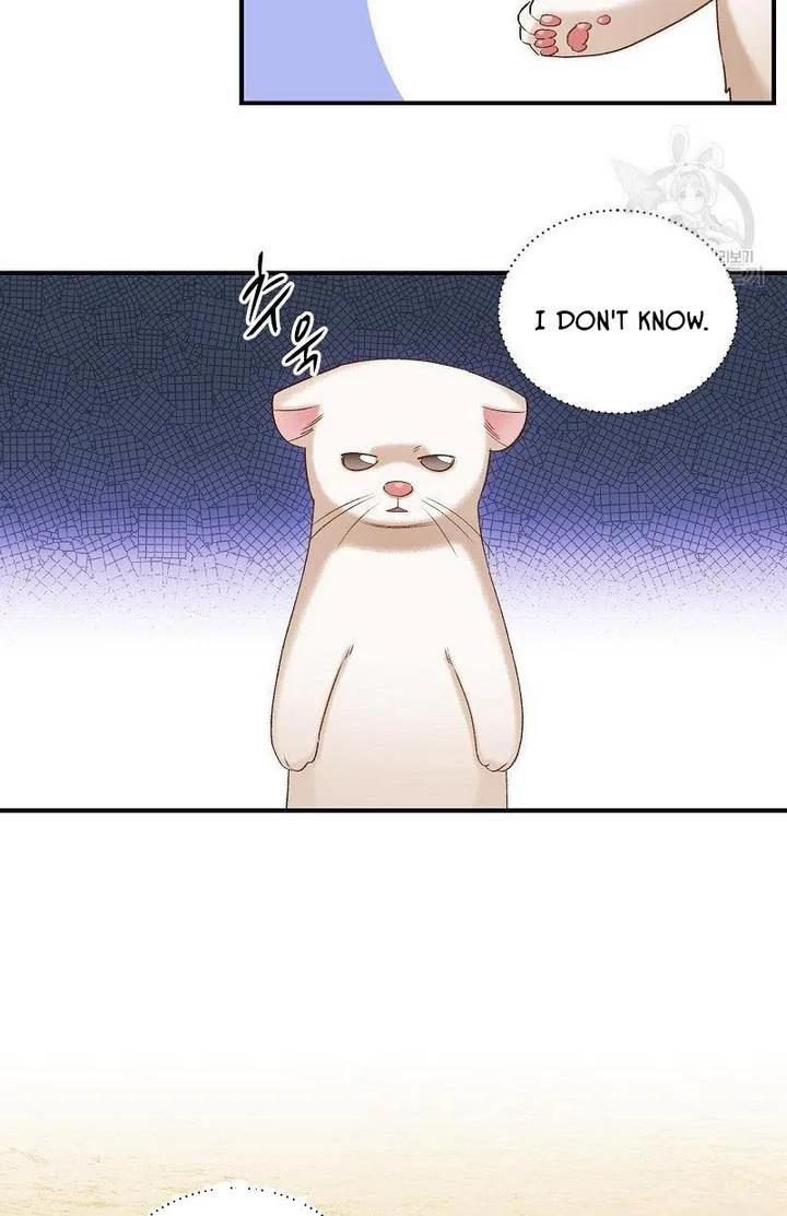 Death to the white ferret weasel Chapter 6 page 11