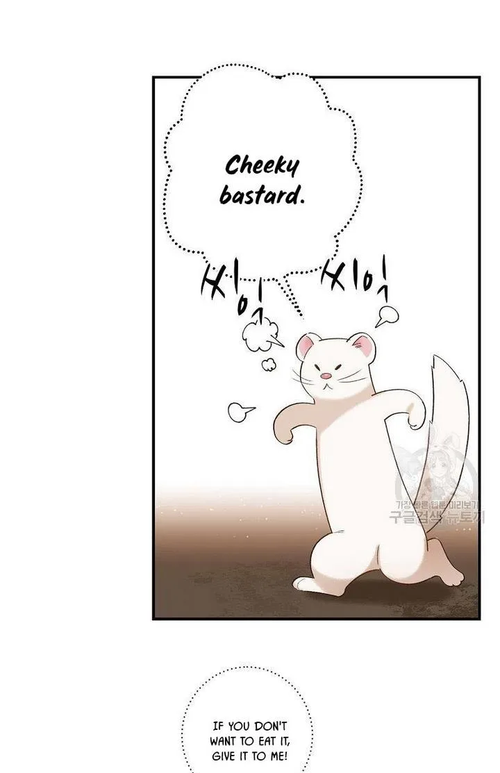 Death to the white ferret weasel Chapter 6 page 7