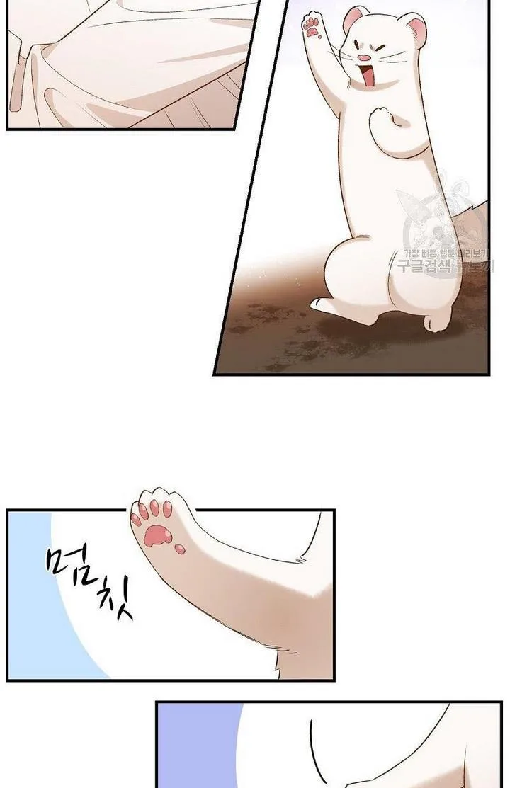 Death to the white ferret weasel Chapter 6 page 10