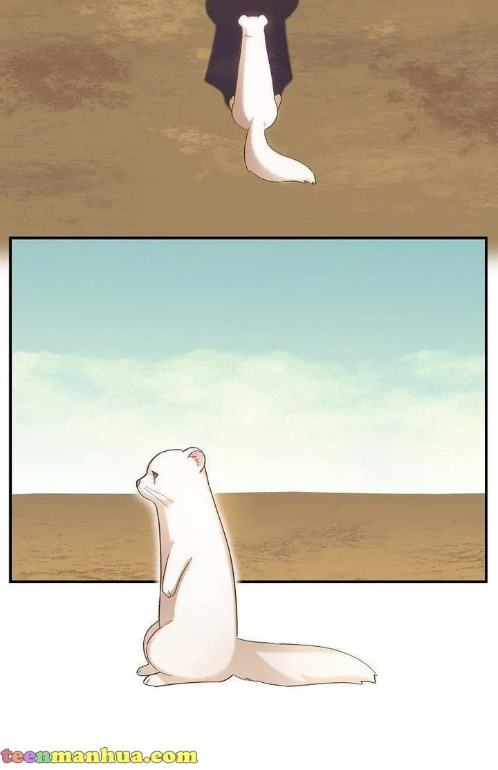 Death to the white ferret weasel Chapter 6 page 13