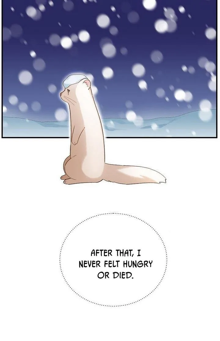 Death to the white ferret weasel Chapter 6 page 15