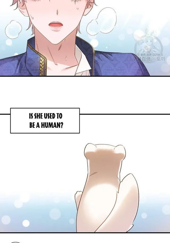 Death to the white ferret weasel Chapter 7 page 5