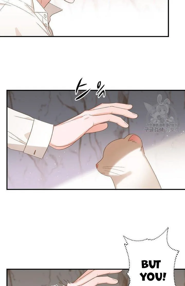 Death to the white ferret weasel Chapter 6 page 17