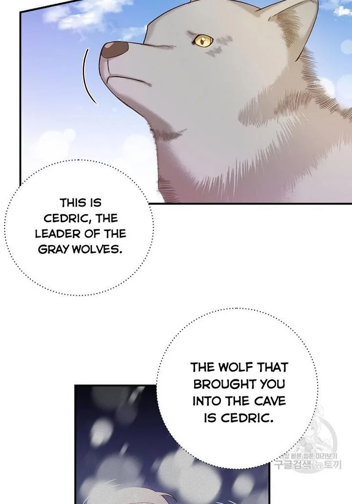 Death to the white ferret weasel Chapter 7 page 37