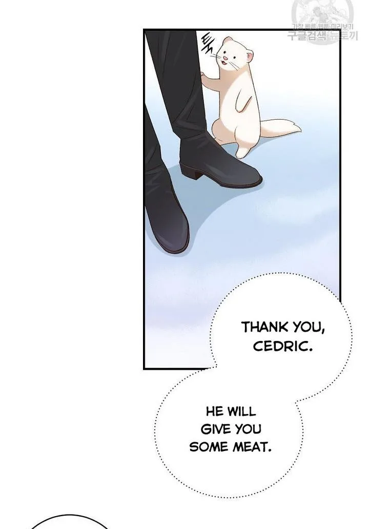 Death to the white ferret weasel Chapter 7 page 59