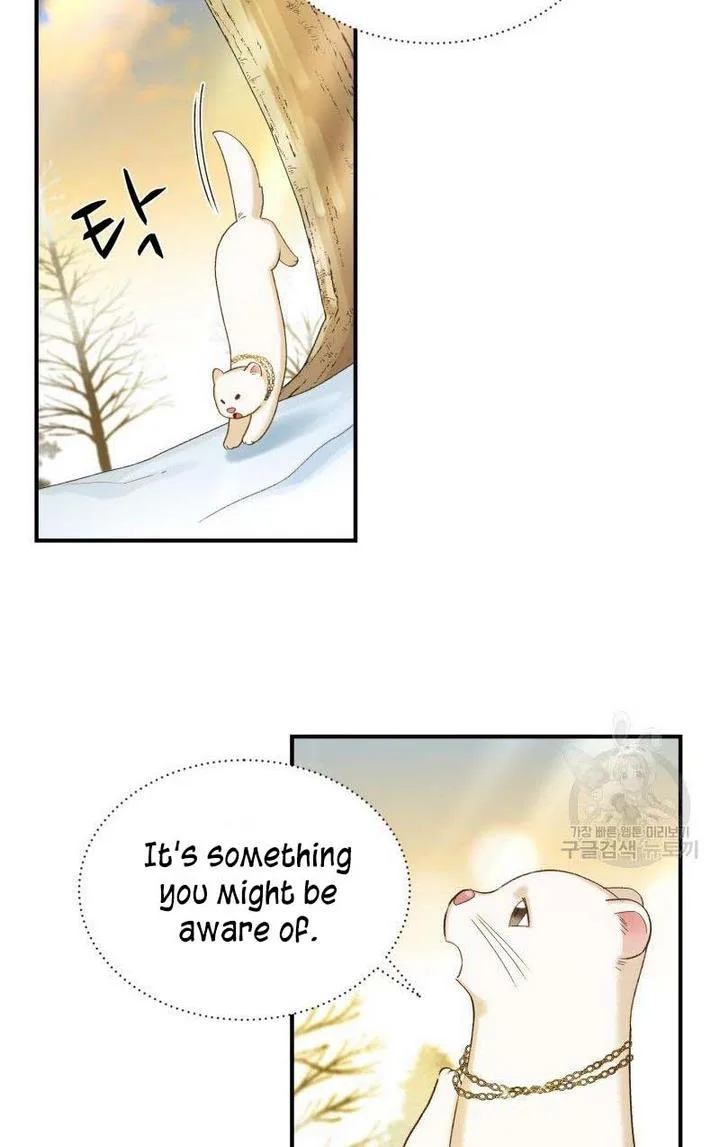 Death to the white ferret weasel Chapter 1 page 62