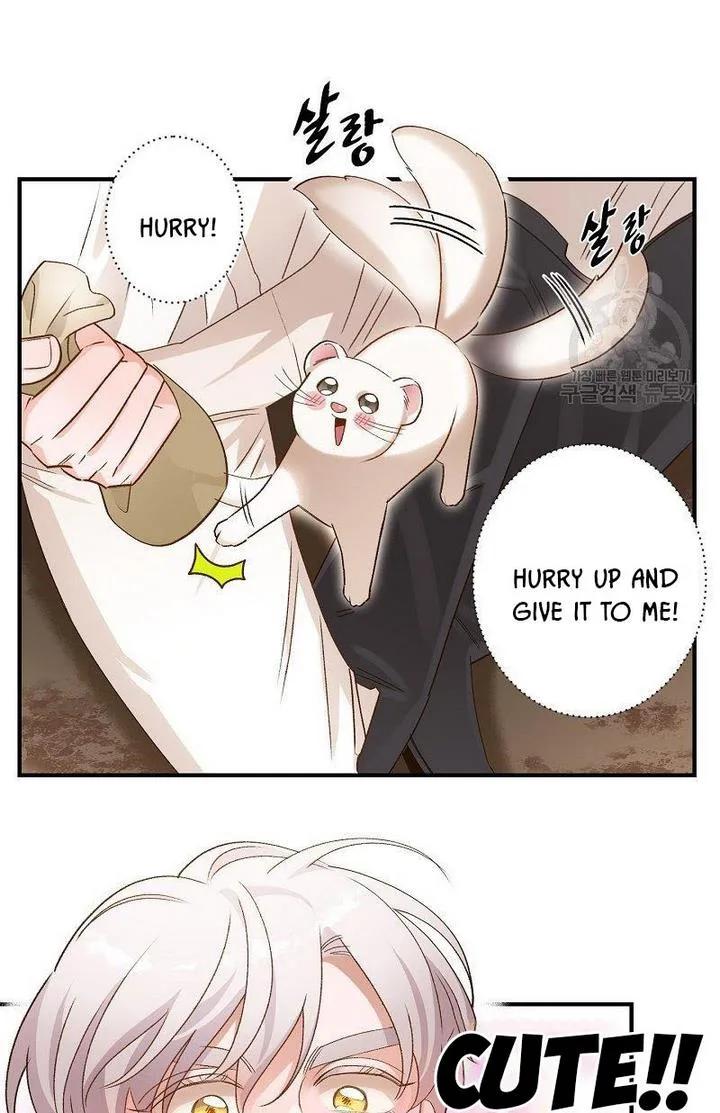 Death to the white ferret weasel Chapter 6 page 34