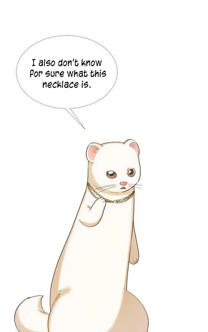 Death to the white ferret weasel Chapter 1 page 64