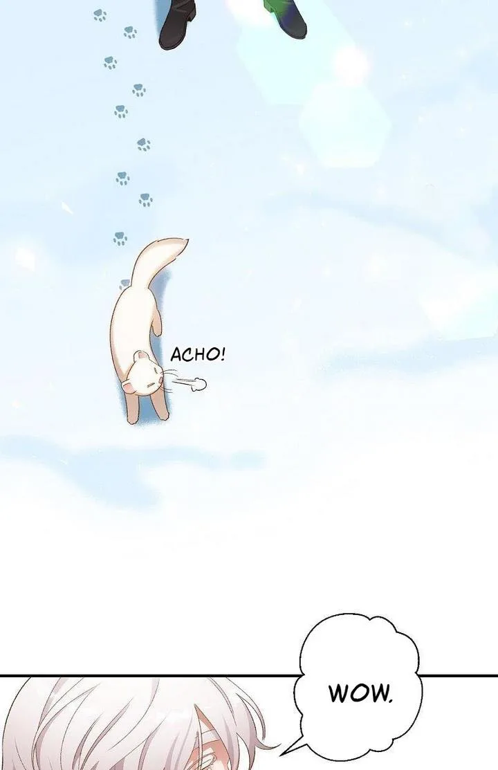 Death to the white ferret weasel Chapter 6 page 50