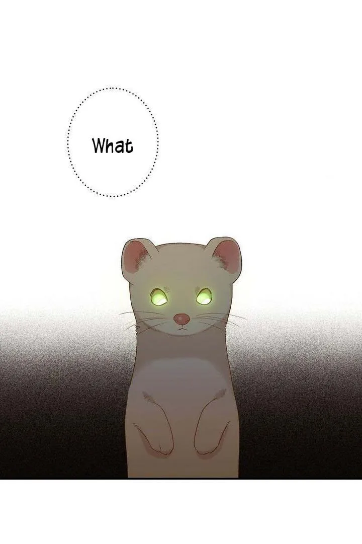 Death to the white ferret weasel Chapter 1 page 77