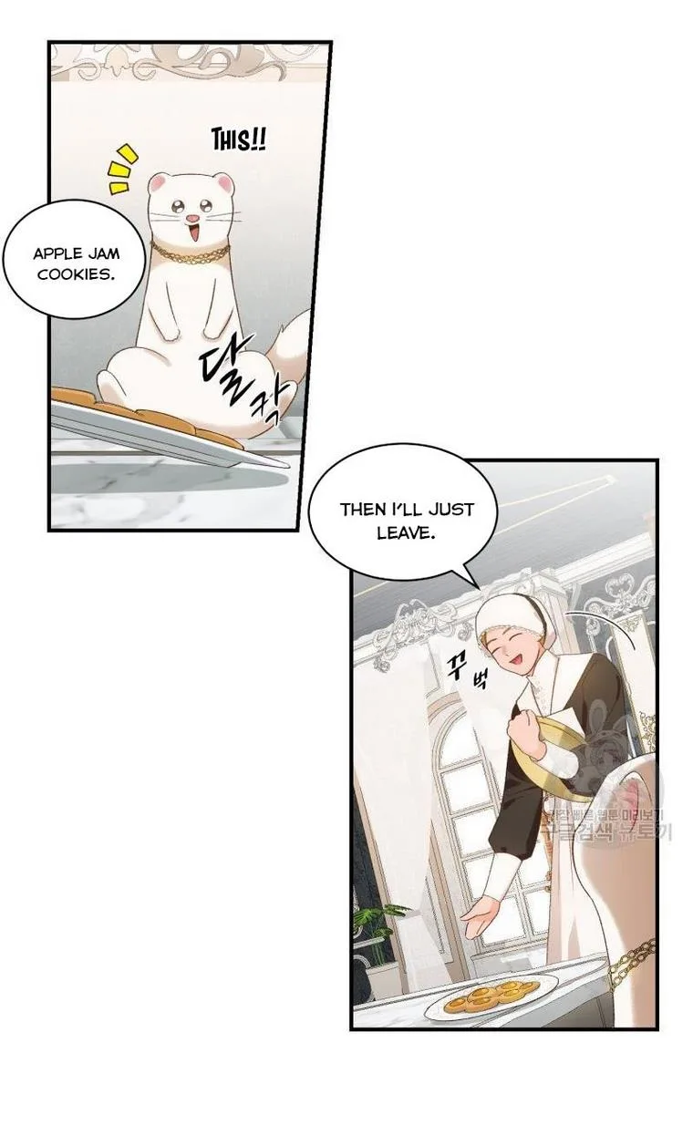 Death to the white ferret weasel Chapter 15 page 15