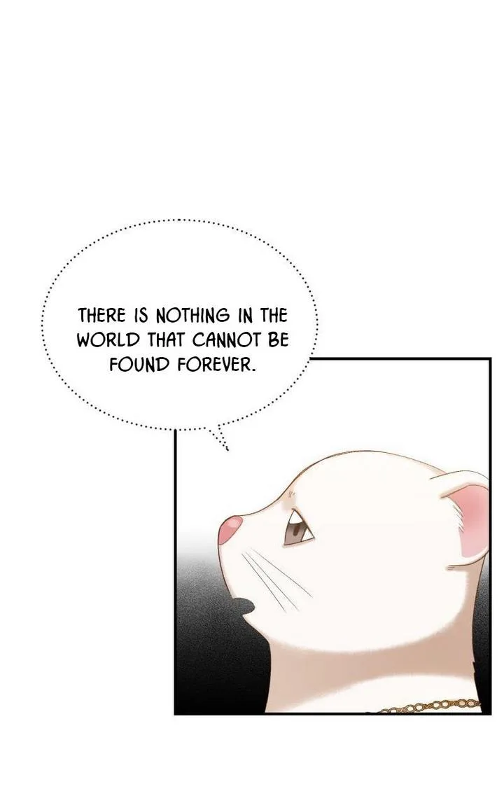 Death to the white ferret weasel Chapter 16 page 37