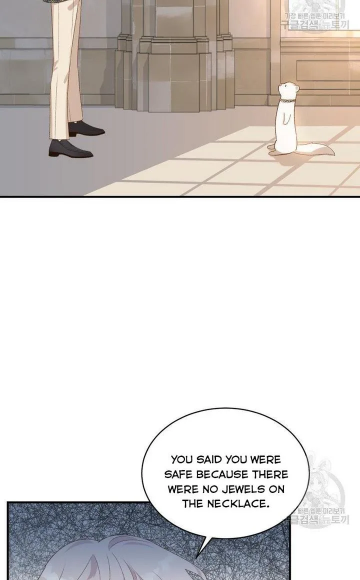 Death to the white ferret weasel Chapter 16 page 33