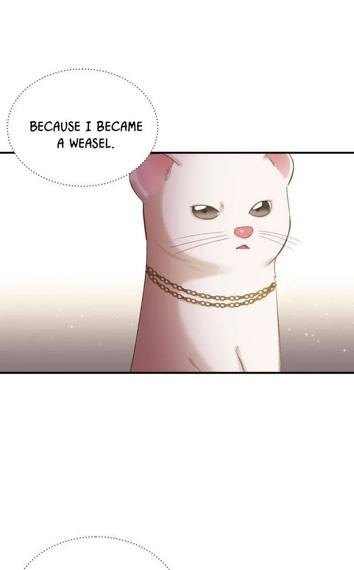 Death to the white ferret weasel Chapter 16 page 22