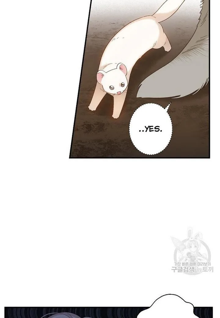 Death to the white ferret weasel Chapter 4 page 12