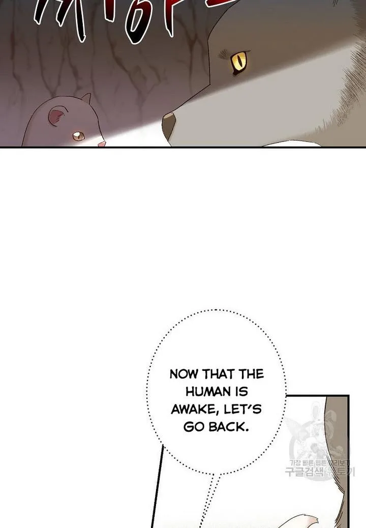 Death to the white ferret weasel Chapter 4 page 11
