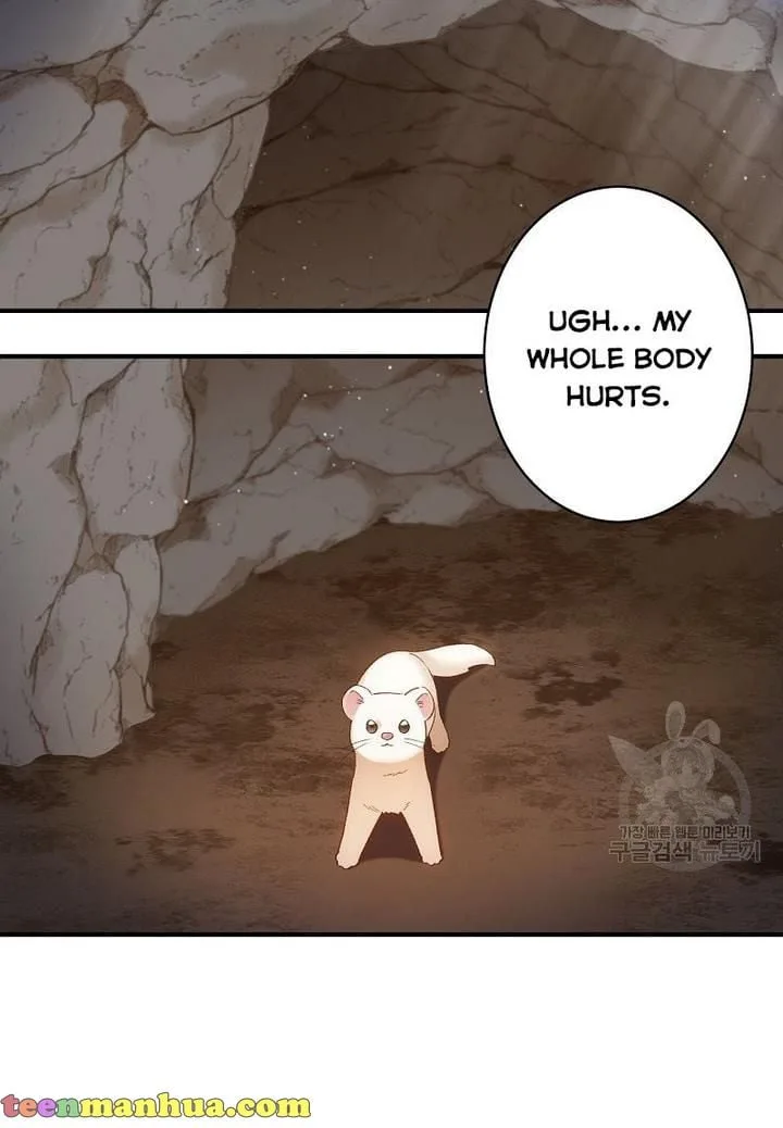Death to the white ferret weasel Chapter 4 page 14