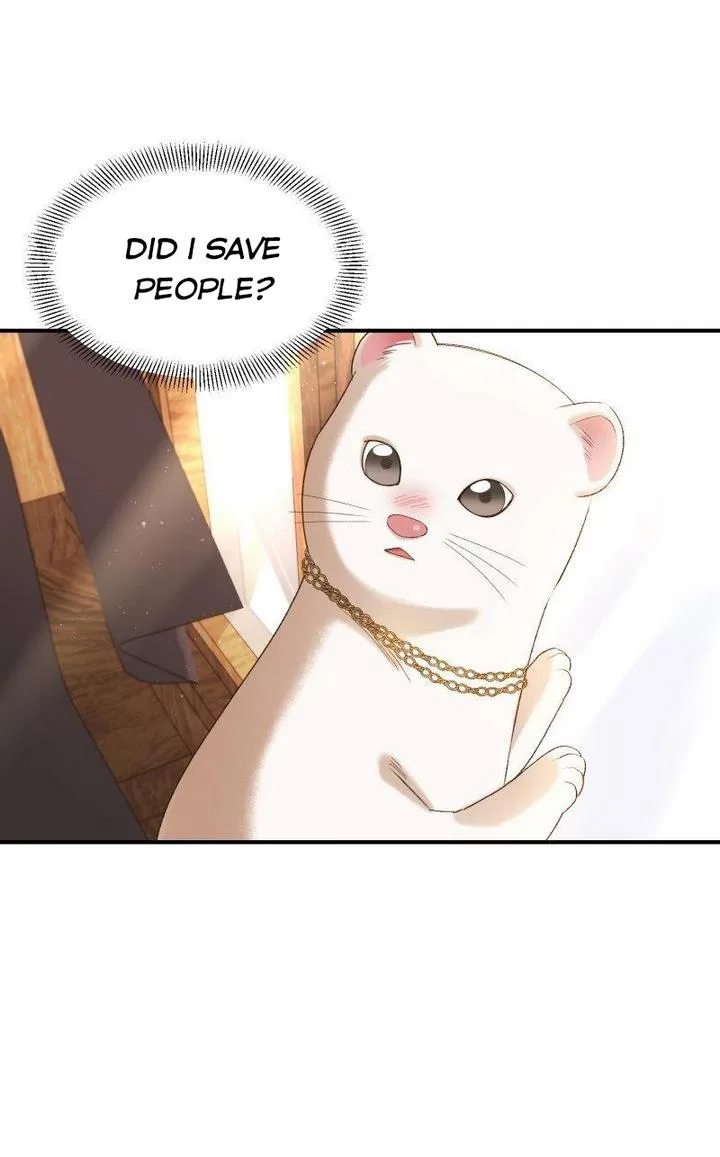 Death to the white ferret weasel Chapter 14 page 63