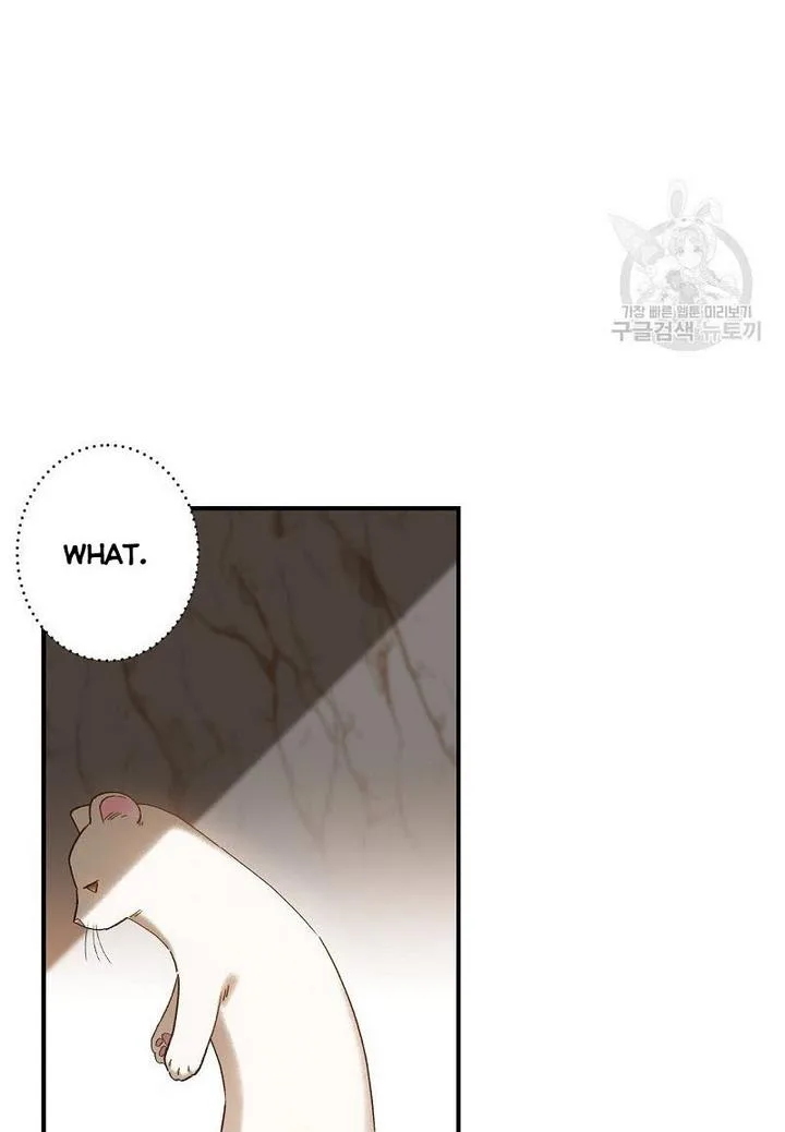 Death to the white ferret weasel Chapter 4 page 24